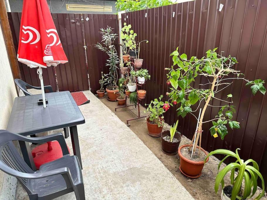 Apartament 33 Apartament Bucureşti